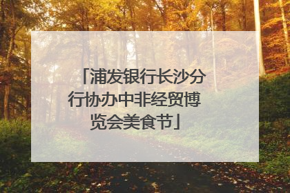 浦发银行长沙分行协办中非经贸博览会美食节