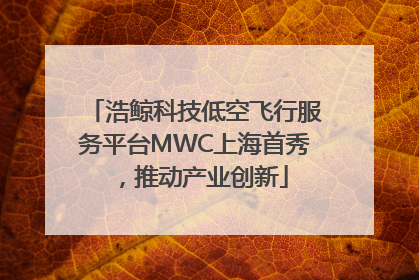 浩鲸科技低空飞行服务平台MWC上海首秀，推动产业创新