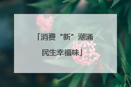 消费“新”潮涌 民生幸福味