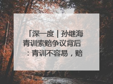 深一度｜孙继海青训索赔争议背后：青训不容易，赔偿可仲裁