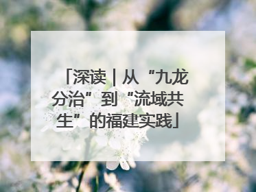 深读｜从“九龙分治”到“流域共生”的福建实践