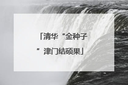 清华“金种子”津门结硕果