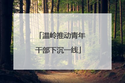 温岭推动青年干部下沉一线