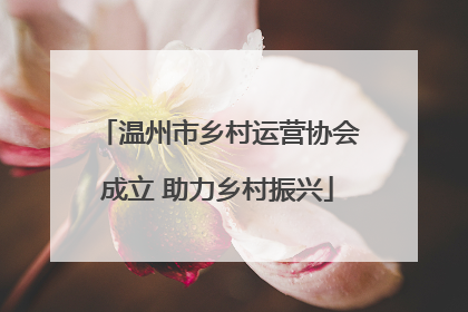温州市乡村运营协会成立 助力乡村振兴