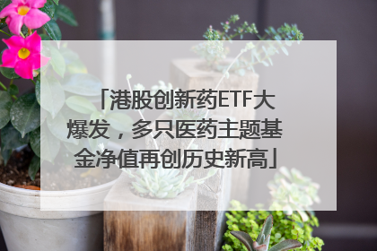 港股创新药ETF大爆发，多只医药主题基金净值再创历史新高