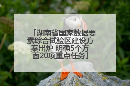 湖南省国家数据要素综合试验区建设方案出炉 明确5个方面20项重点任务