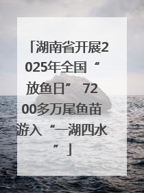 湖南省开展2025年全国“放鱼日” 7200多万尾鱼苗游入“一湖四水”