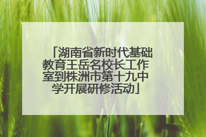 湖南省新时代基础教育王岳名校长工作室到株洲市第十九中学开展研修活动