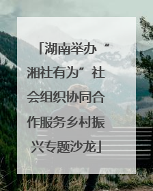 湖南举办“湘社有为”社会组织协同合作服务乡村振兴专题沙龙
