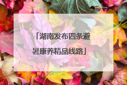 湖南发布四条避暑康养精品线路