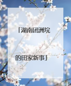 湖南团洲垸的田家新事