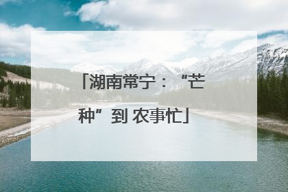 湖南常宁：“芒种”到 农事忙