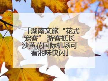 湖南文旅“花式宠客” 游客抵长沙黄花国际机场可看湘味快闪
