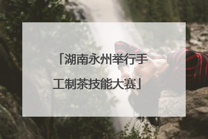湖南永州举行手工制茶技能大赛