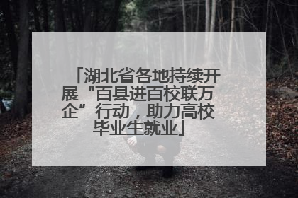 湖北省各地持续开展“百县进百校联万企”行动，助力高校毕业生就业