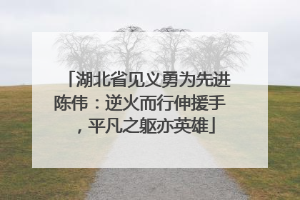 湖北省见义勇为先进陈伟：逆火而行伸援手，平凡之躯亦英雄