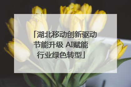 湖北移动创新驱动节能升级 AI赋能行业绿色转型
