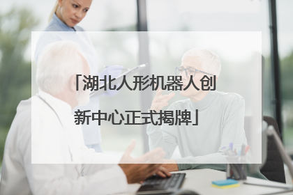 湖北人形机器人创新中心正式揭牌