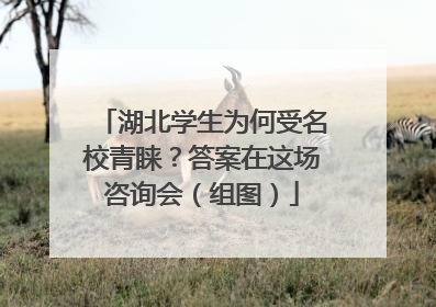 湖北学生为何受名校青睐？答案在这场咨询会（组图）