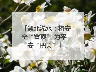 湖北浠水：将安全“置顶” 为平安“把关”
