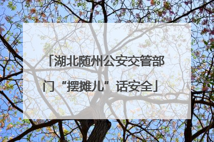 湖北随州公安交管部门“摆摊儿”话安全