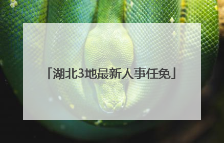 湖北3地最新人事任免