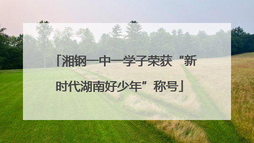 湘钢一中一学子荣获“新时代湖南好少年”称号