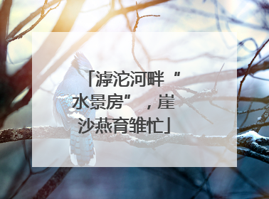 滹沱河畔“水景房”，崖沙燕育雏忙
