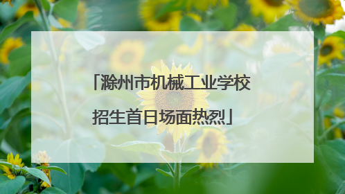 滁州市机械工业学校招生首日场面热烈