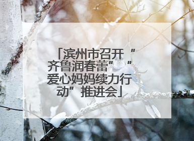 滨州市召开“齐鲁润春蕾”“爱心妈妈续力行动”推进会