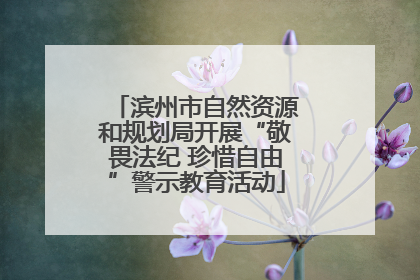 滨州市自然资源和规划局开展“敬畏法纪 珍惜自由”警示教育活动
