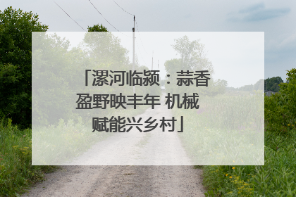 漯河临颍：蒜香盈野映丰年 机械赋能兴乡村
