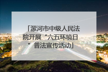 漯河市中级人民法院开展“六五环境日”普法宣传活动