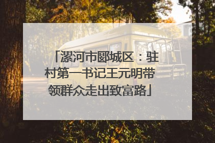 漯河市郾城区：驻村第一书记王元明带领群众走出致富路