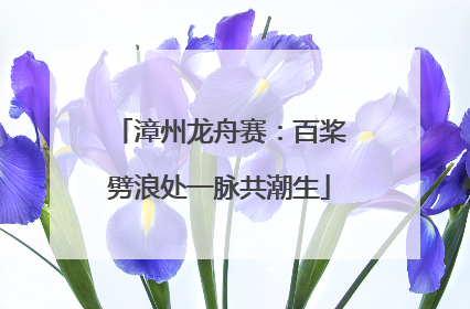 漳州龙舟赛：百桨劈浪处一脉共潮生