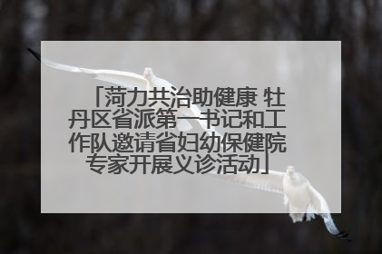 菏力共治助健康 牡丹区省派第一书记和工作队邀请省妇幼保健院专家开展义诊活动