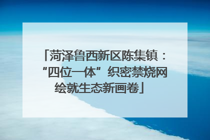菏泽鲁西新区陈集镇：“四位一体”织密禁烧网 绘就生态新画卷