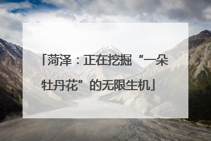 菏泽：正在挖掘“一朵牡丹花”的无限生机