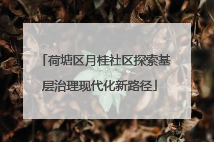 荷塘区月桂社区探索基层治理现代化新路径