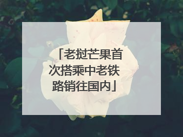 老挝芒果首次搭乘中老铁路销往国内