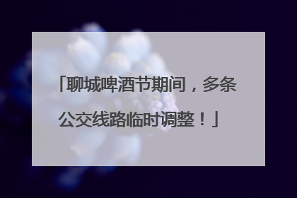 聊城啤酒节期间，多条公交线路临时调整！