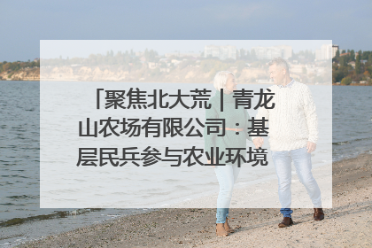 聚焦北大荒｜青龙山农场有限公司：基层民兵参与农业环境综合治理显效