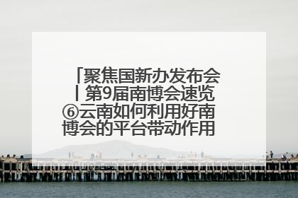 聚焦国新办发布会丨第9届南博会速览⑥云南如何利用好南博会的平台带动作用，深化与南亚国家的交流与合作？