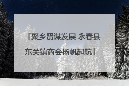 聚乡贤谋发展 永春县东关镇商会扬帆起航