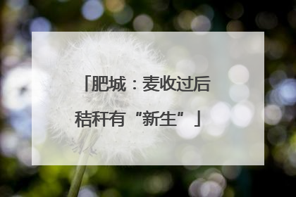 肥城：麦收过后秸秆有“新生”