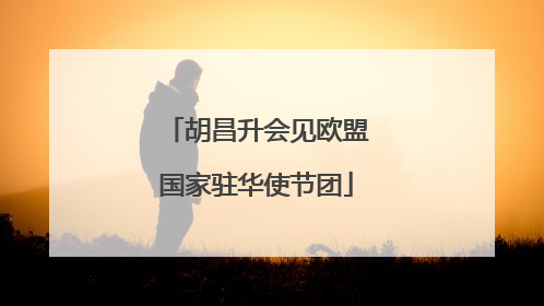 胡昌升会见欧盟国家驻华使节团