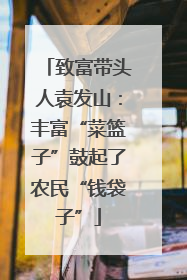 致富带头人袁发山：丰富“菜篮子”鼓起了农民“钱袋子”