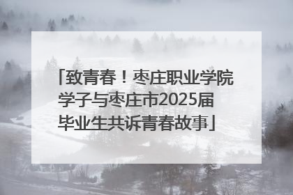 致青春！枣庄职业学院学子与枣庄市2025届毕业生共诉青春故事