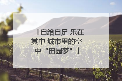 自给自足 乐在其中 城市里的空中“田园梦”