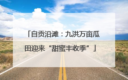 自贡沿滩：九洪万亩瓜田迎来“甜蜜丰收季”